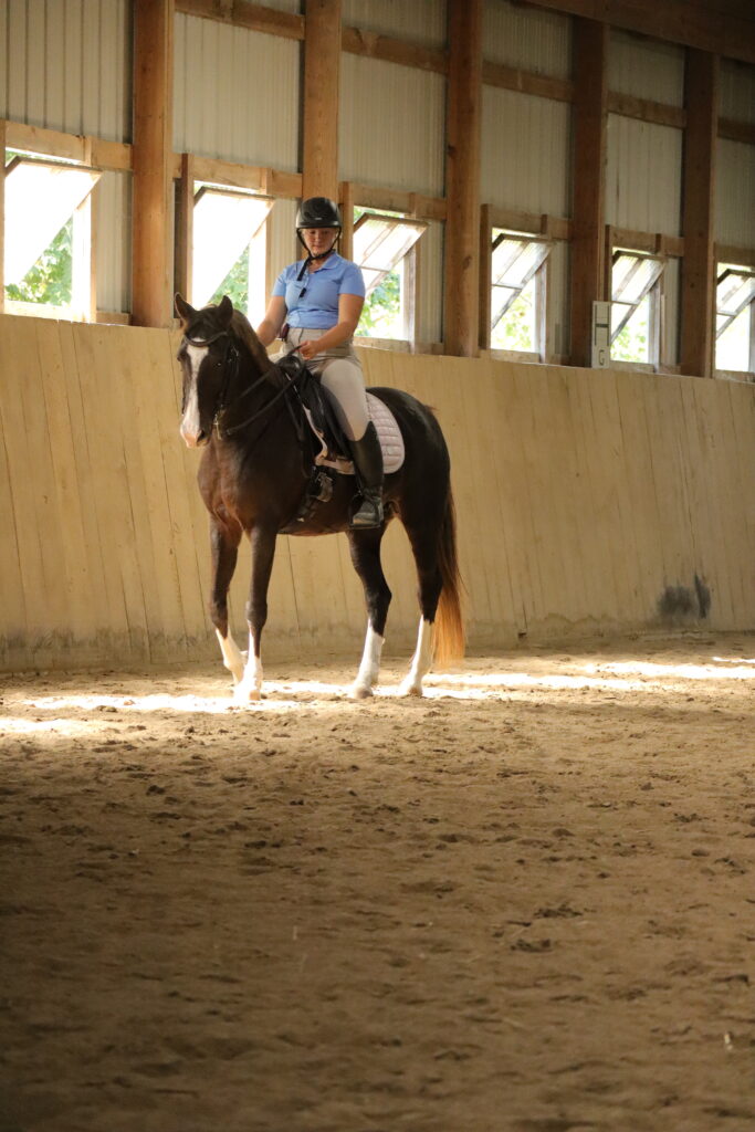 Horse training